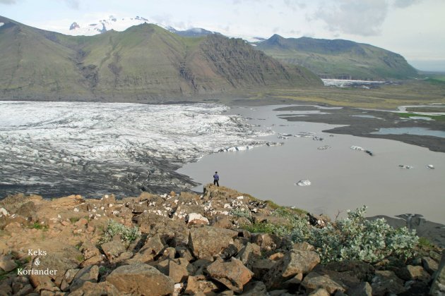 Gletscherzunge Skydararjökul Island